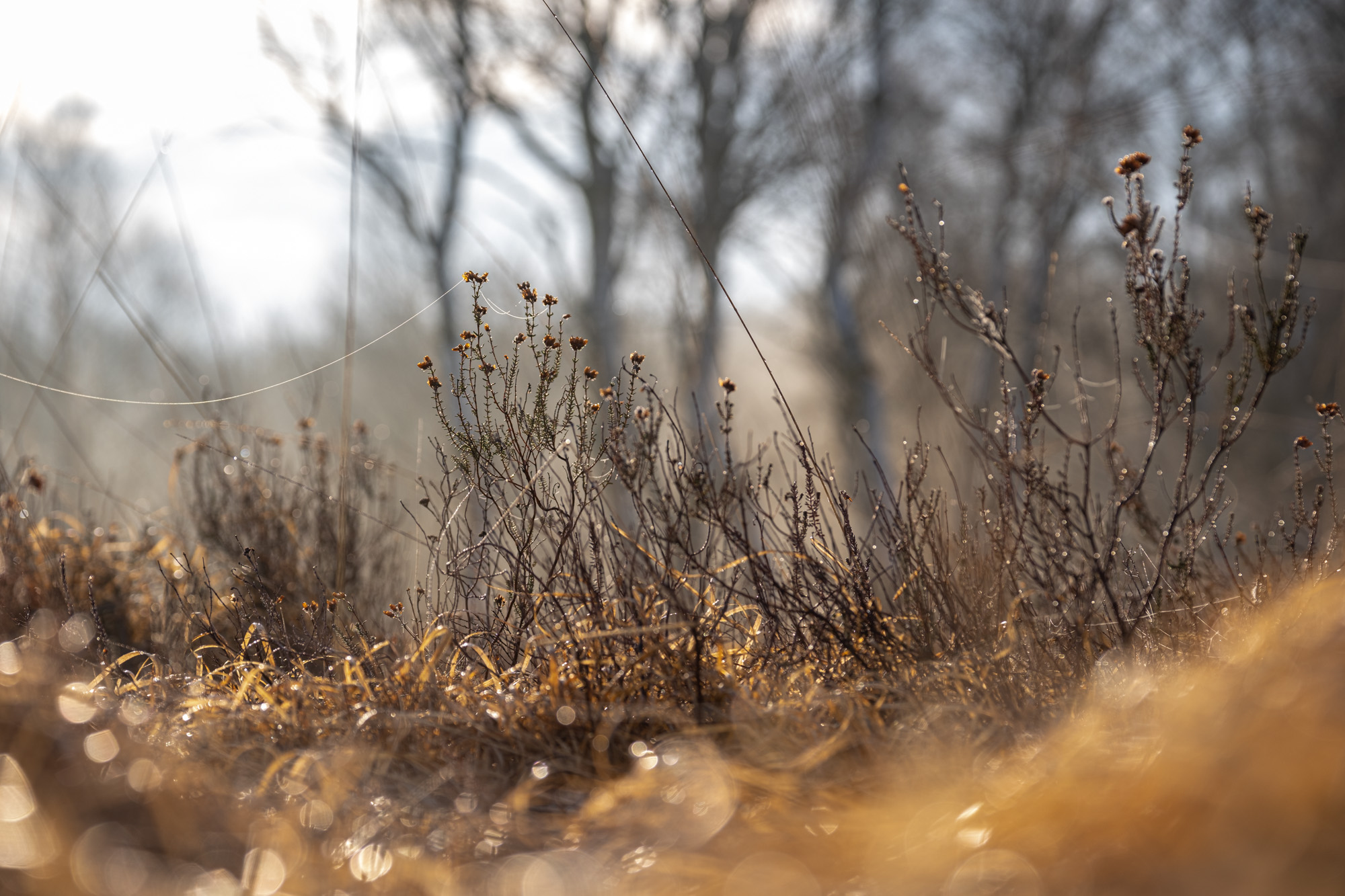 2023 03 19  xt 5   4769